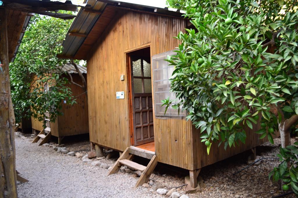Olympos Yakamoz Pansiyon Δωμάτιο φωτογραφία