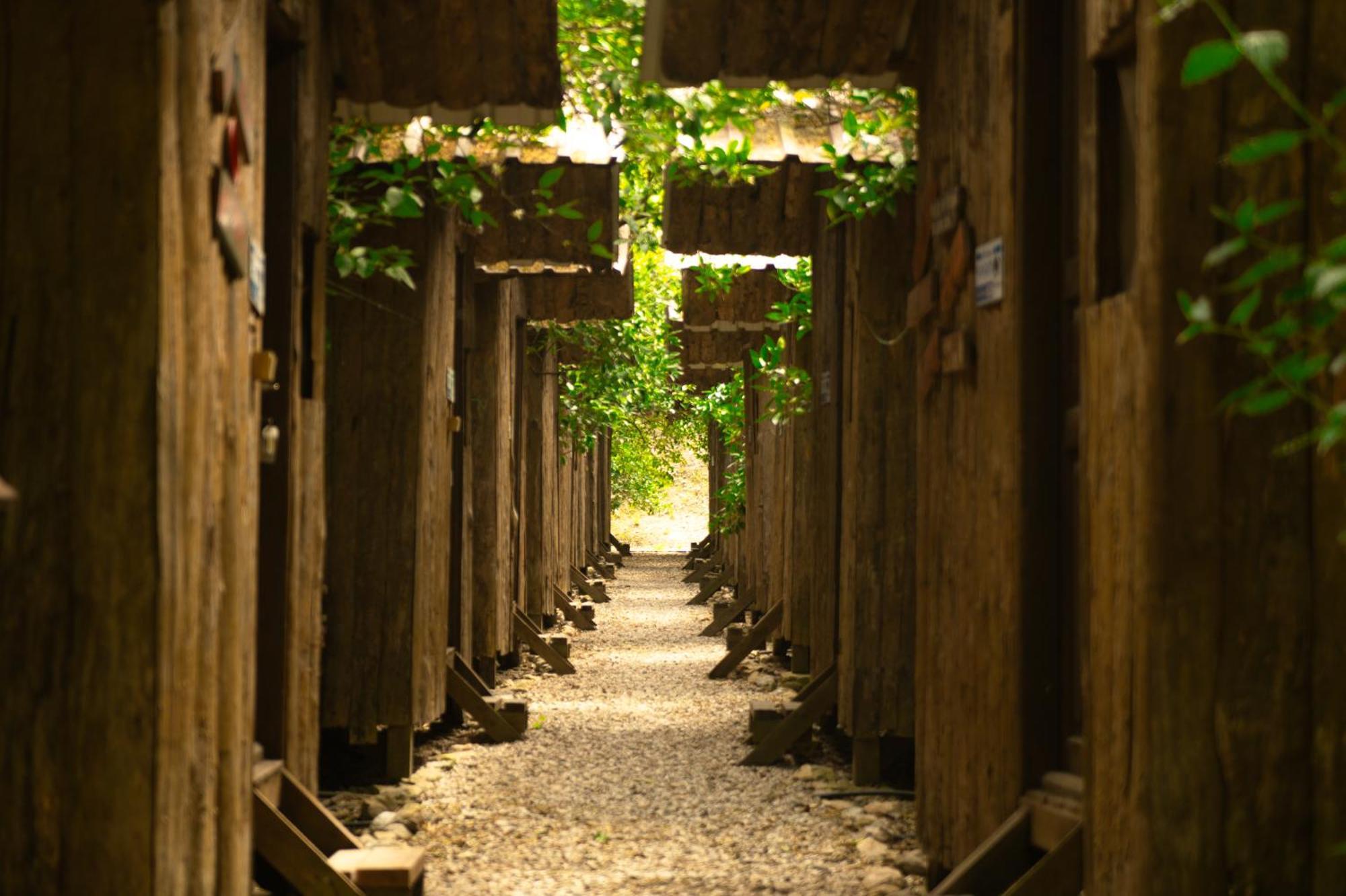 Olympos Yakamoz Pansiyon Εξωτερικό φωτογραφία
