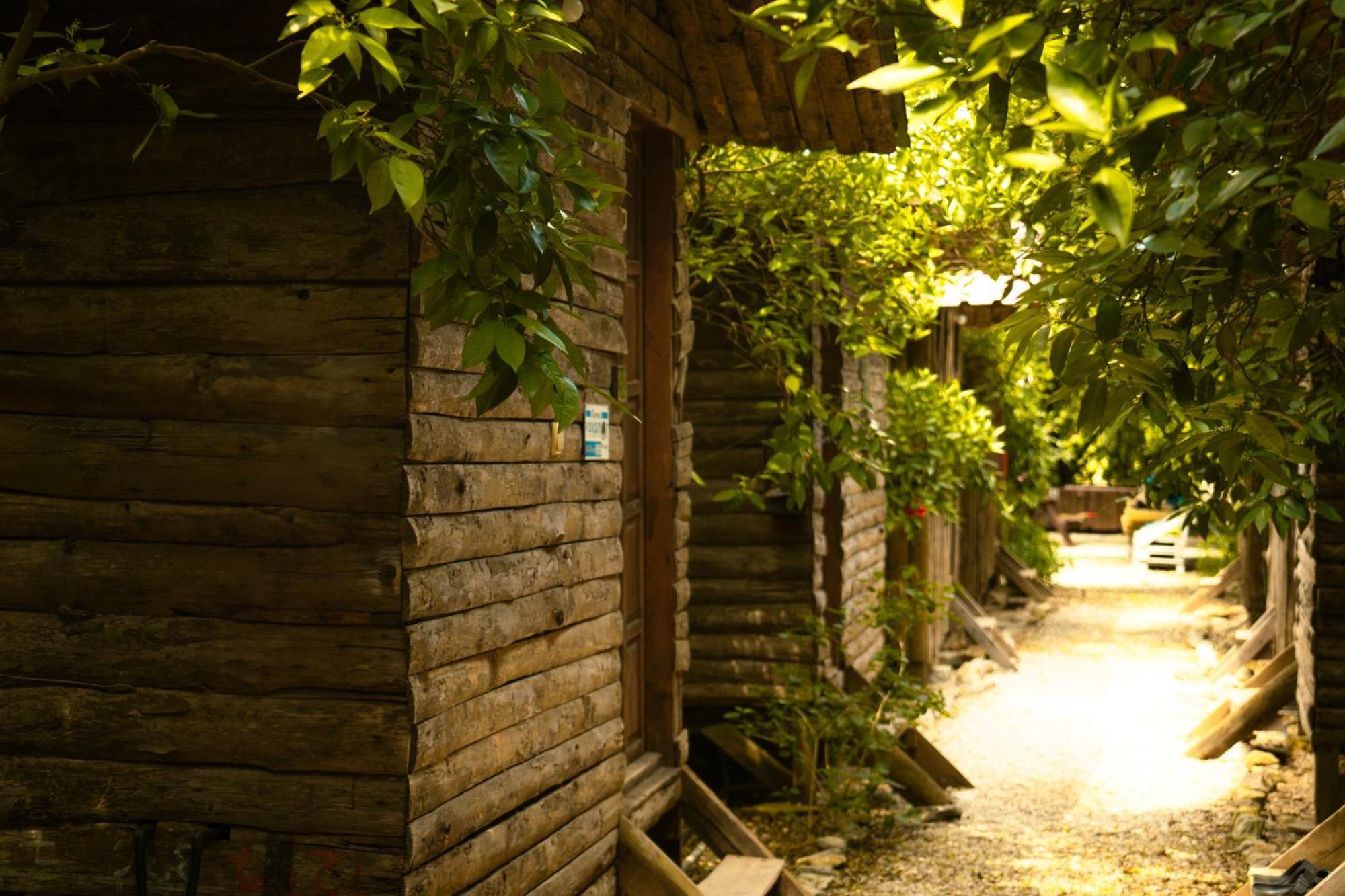 Olympos Yakamoz Pansiyon Εξωτερικό φωτογραφία