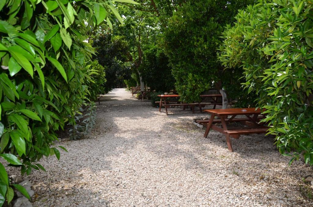 Olympos Yakamoz Pansiyon Εξωτερικό φωτογραφία