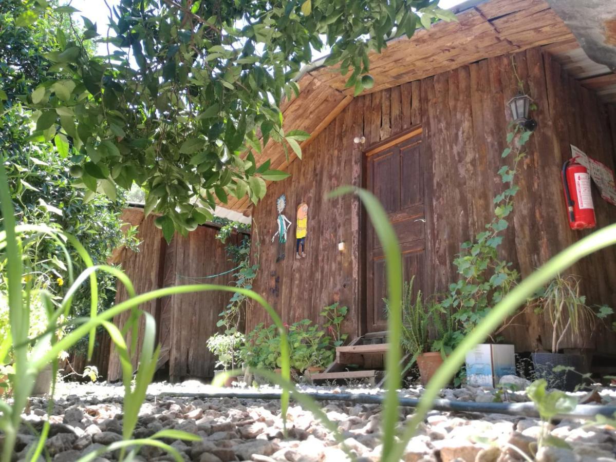 Olympos Yakamoz Pansiyon Εξωτερικό φωτογραφία