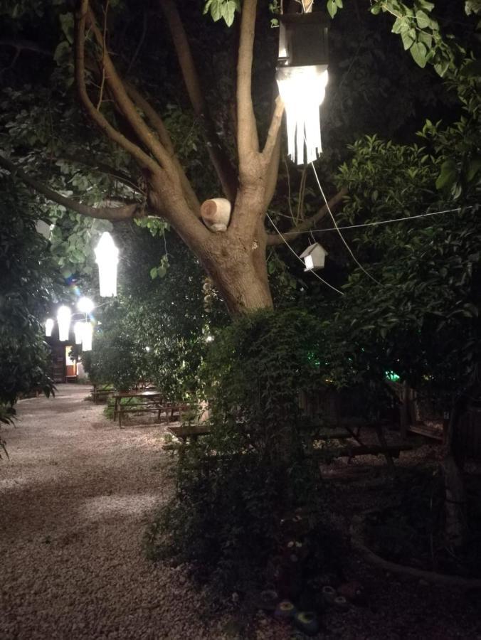 Olympos Yakamoz Pansiyon Εξωτερικό φωτογραφία