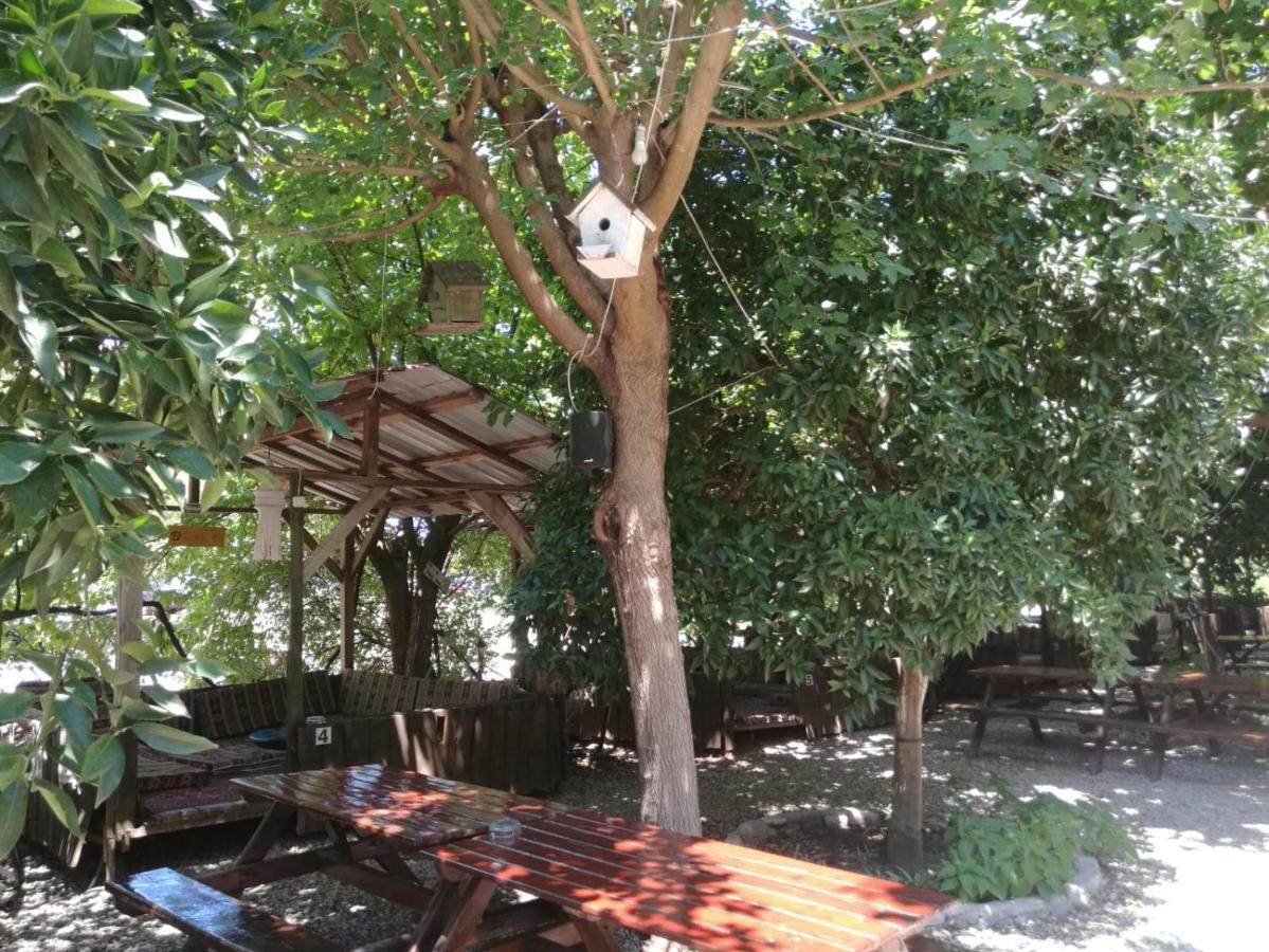 Olympos Yakamoz Pansiyon Εξωτερικό φωτογραφία