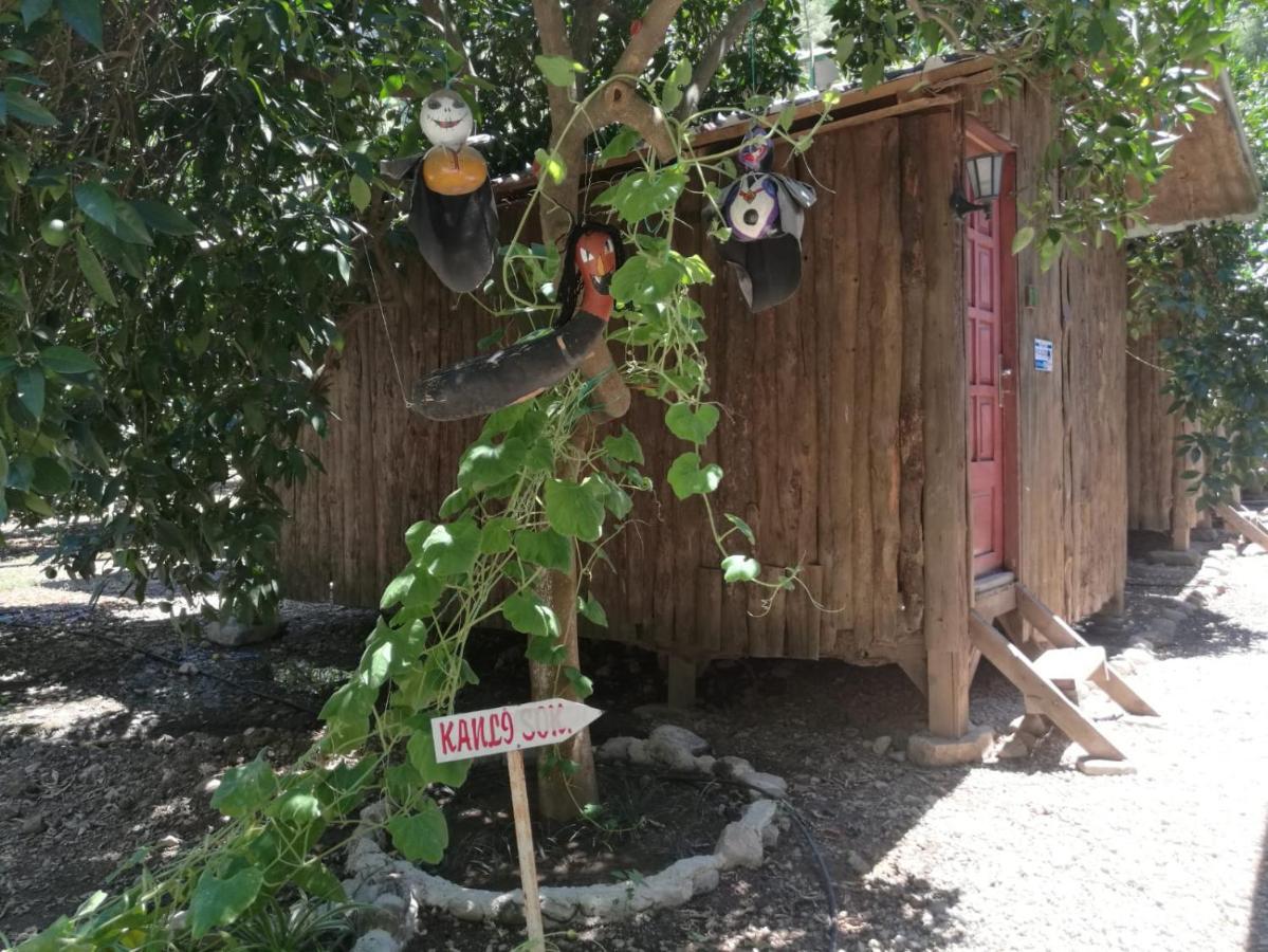 Olympos Yakamoz Pansiyon Εξωτερικό φωτογραφία
