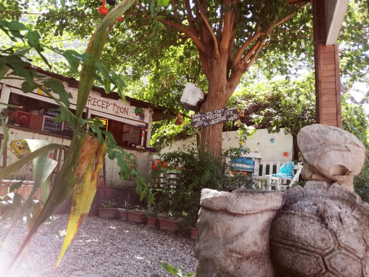 Olympos Yakamoz Pansiyon Εξωτερικό φωτογραφία