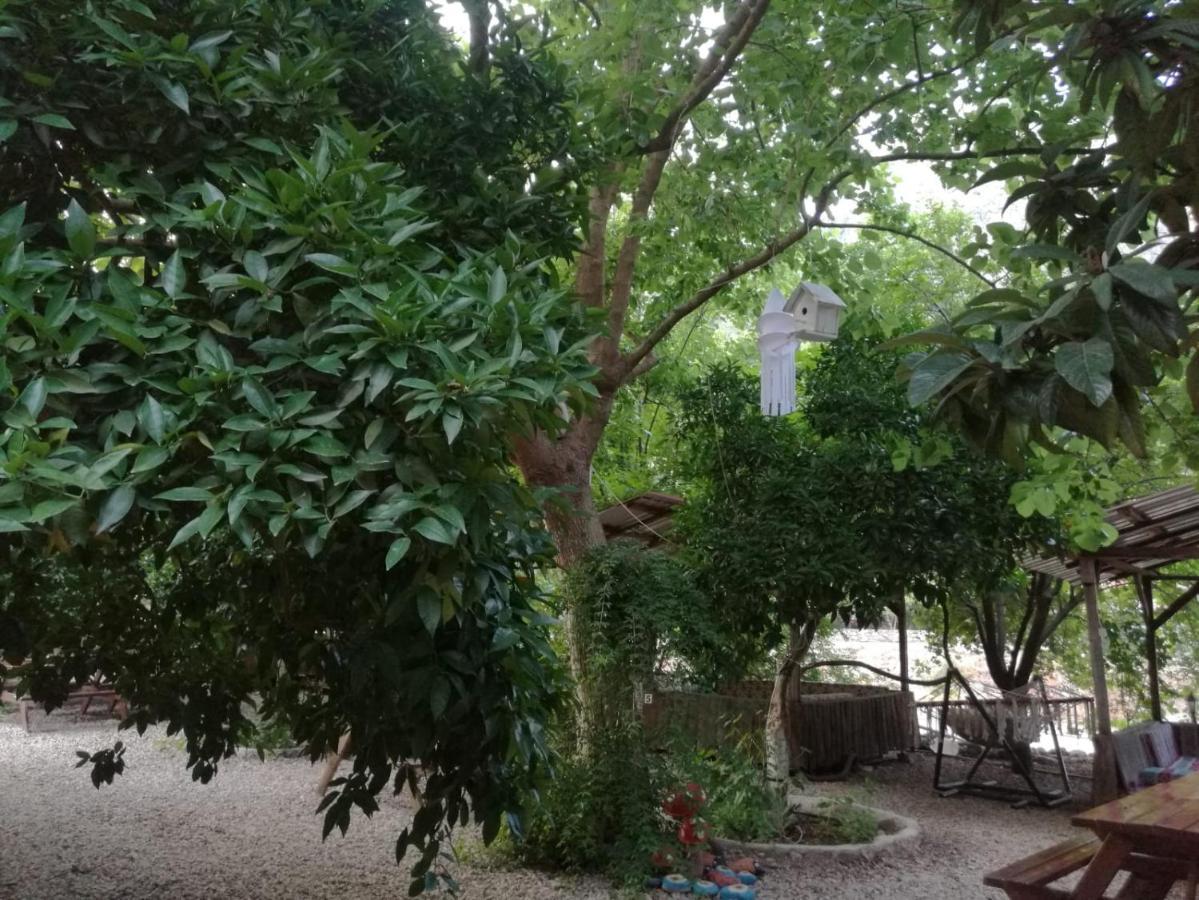 Olympos Yakamoz Pansiyon Εξωτερικό φωτογραφία