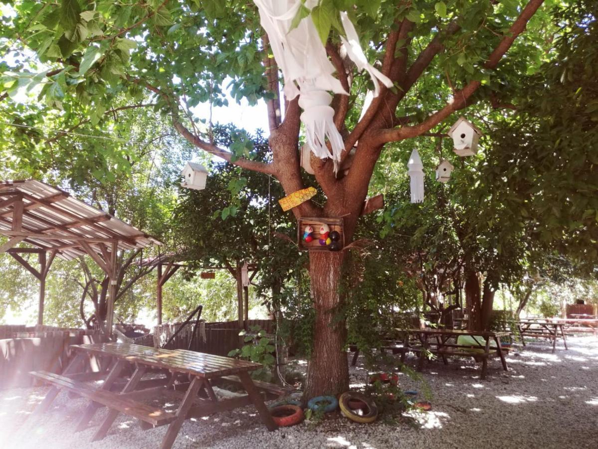 Olympos Yakamoz Pansiyon Εξωτερικό φωτογραφία