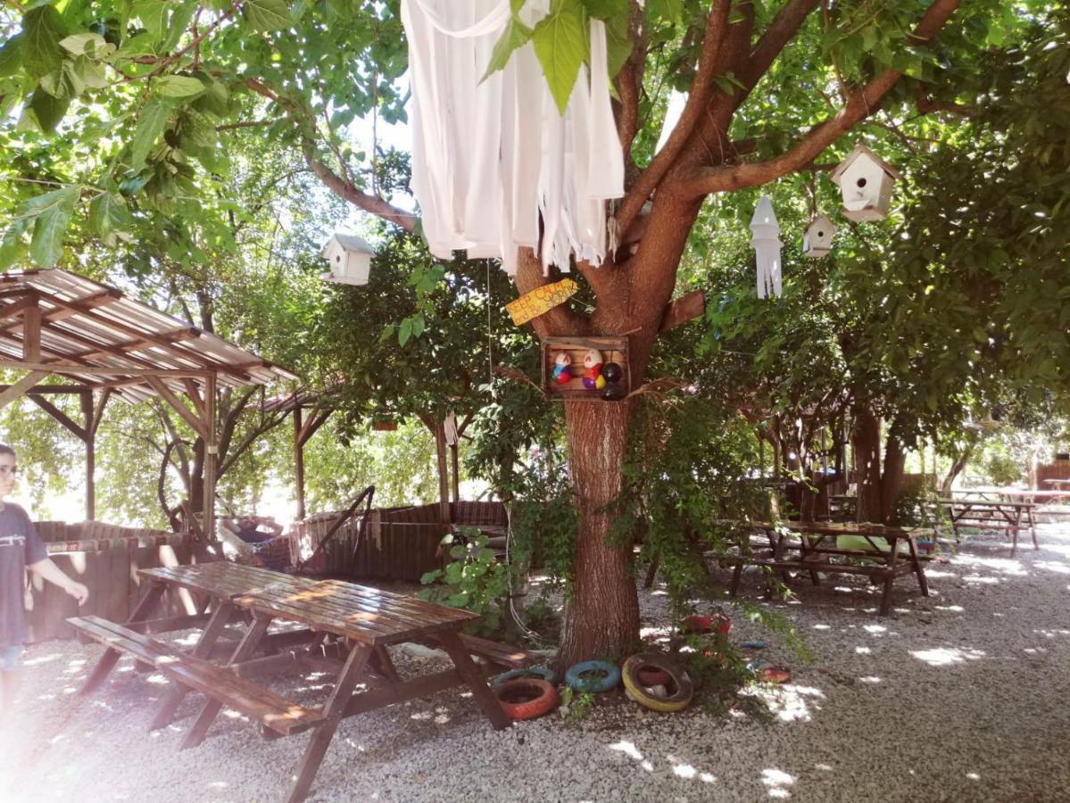 Olympos Yakamoz Pansiyon Εξωτερικό φωτογραφία